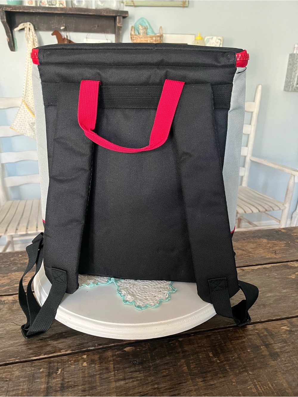Disney Cruise Line Gray Cooler Pouch with Red Zipper - Picture 3 of 13